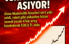 VSNMD Hisselerinde Yükseliş Sürüyor: Günlük %4 Artışla 530,5 TL Seviyesi Aşıldı