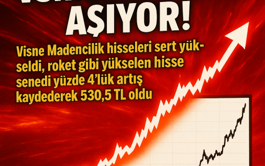 VSNMD Hisselerinde Yükseliş Sürüyor: Günlük %4 Artışla 530,5 TL Seviyesi Aşıldı
