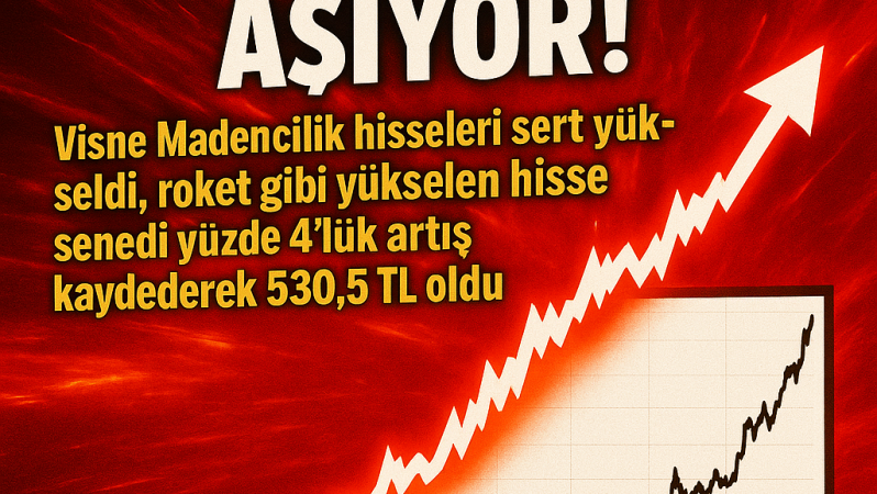 VSNMD Hisselerinde Yükseliş Sürüyor: Günlük %4 Artışla 530,5 TL Seviyesi Aşıldı