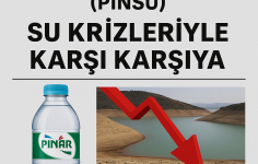 Pınar Su ve İç Vecek Sanayi ve Ticaret A.Ş. (BIST: PINSU) – Durum Raporu